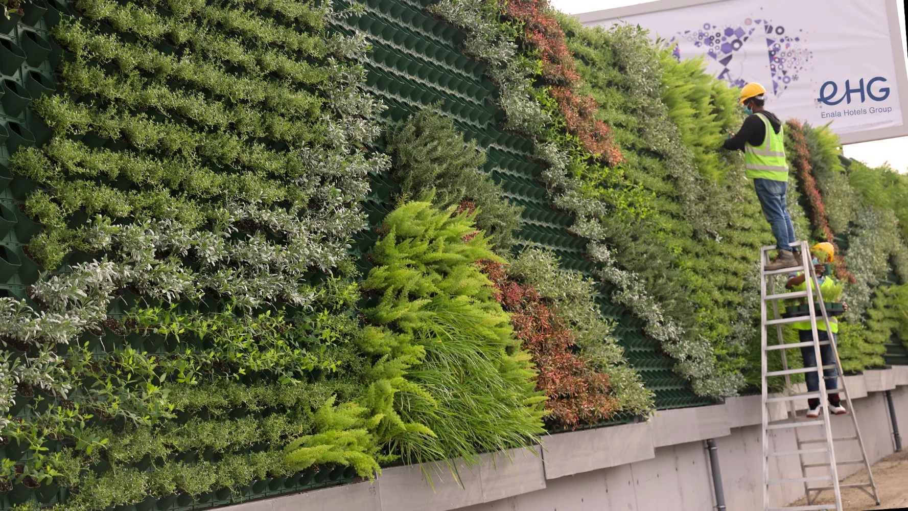 Green Wall