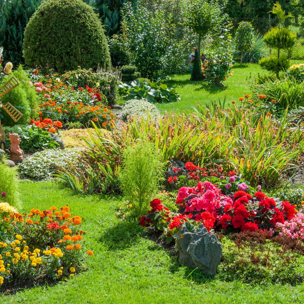 أنظمة الضباب والرذاذ