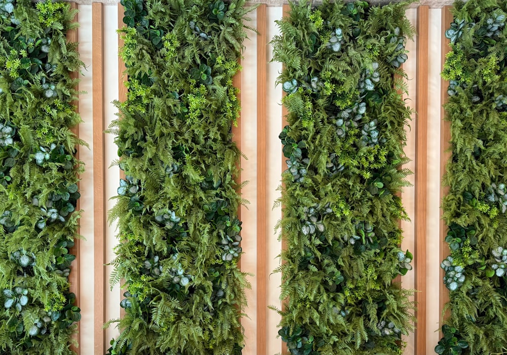 Green Wall